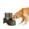 Drinkwell® Outdoor Dog Fountain -Best Pet Supplies kup62ia3oensmgvsmu0b 1a340ef7 d47d 4a8b 9a2b e48757bddd9f