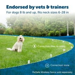 Wireless Pet Containment System™ Extra Transmitter -Best Pet Supplies kxzqvlrquni1gjv2bjua 7c3f061b a092 48ec aaa5 2b35598e5f82