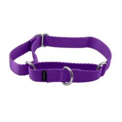 Martingale Collar -Best Pet Supplies kyrrhbvpfqvlaalzzfzb 1e0abf6b a62e 4b74 9dd0 881a44633f08