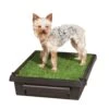 Pet Loo™ Pet Toilet -Best Pet Supplies lbxehuullmgde6cjollx 13408865 4ff1 4ee3 9e5b decefc05b6b6