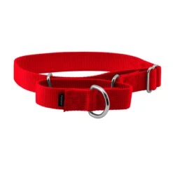 Martingale Collar -Best Pet Supplies lxdnpcfz2rgbovwnerxs 558b2dad b993 4422 8576 9edbe2751b6d