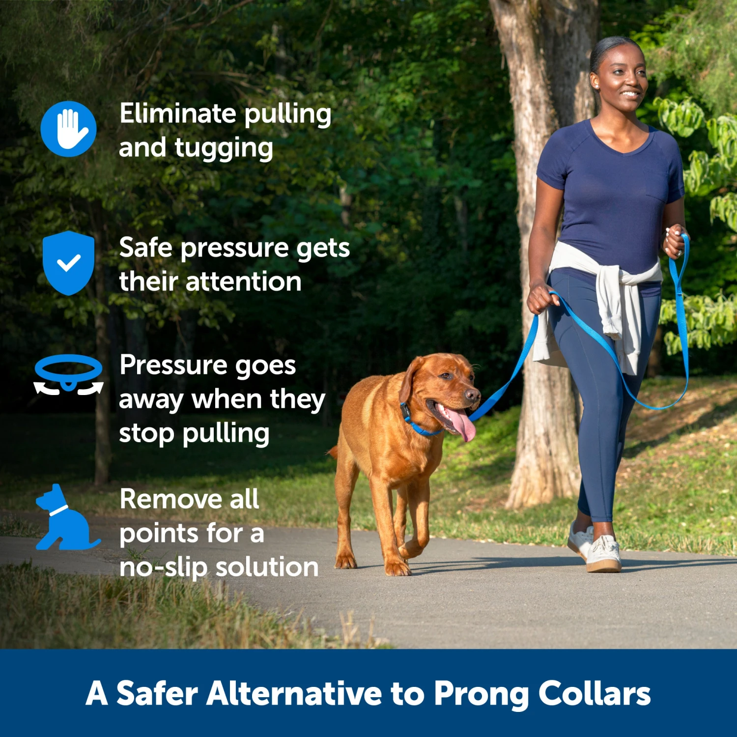 Soft Point Training Collar 7 Soft Point Training Collar - Image 5