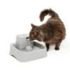 Drinkwell® ½ Gallon Pet Fountain -Best Pet Supplies mcdazcy1bjsrnxer1uc9 44ceefa4 1930 4def 9e44 59a877794ae7