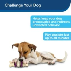 Busy Buddy® Bristle Bone® -Best Pet Supplies md8fhkizocqzys2qljkr c7e5cc75 e724 484f b70f c0ecec377671