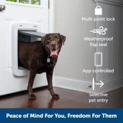 SmartDoor™ Connected Pet Door Power Adaptor -Best Pet Supplies meo9ngrgi6dmvehs0prm