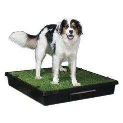 Pet Loo™ Pet Toilet -Best Pet Supplies mv4ighqn4zyb4mbl5ahy effe6753 9577 485e ba3f 127b5d608825