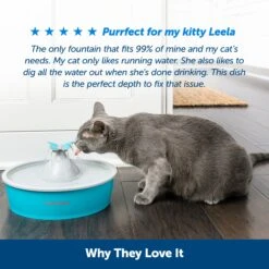 Drinkwell® Butterfly Pet Fountain -Best Pet Supplies mxvfxhf1osg7hjqdcya0 b00573ef 8331 48a6 b05f 839797782067