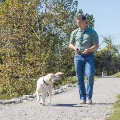 Remote Trainer Lanyard -Best Pet Supplies n22st2zutmfn8uzjum5y 72c71d9d acb0 4920 9ac8 c9b8c68b82d0