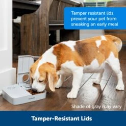 Automatic 2 Meal Pet Feeder -Best Pet Supplies nbm9dlvkshycfkrdltuj 5a3bfe80 bf8f 4064 9032 a79c0210541f