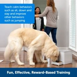 Teach & Treat Remote Reward Trainer -Best Pet Supplies ng2mf1db4rgpp6g4qzet de7c0f0f 709f 49d4 bad4 f31774333cc0