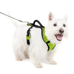 EasySport Harness 32 EasySport Harness -Best Pet Supplies nieyy8zk8dyndfzxp6vr eeae6d84 e0bb 4b06 ab0b 8c16a876a07f