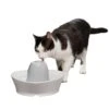 Creekside Ceramic Pet Fountain 1 Creekside Ceramic Pet Fountain -Best Pet Supplies nizfytl8naol7edibfms 89c59612 eeea 4457 8f20 a9918f099930