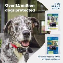 Wireless Pet Containment System Receiver Collar 13 Wireless Pet Containment System Receiver Collar -Best Pet Supplies oacrpqy23kuvznxah9ni