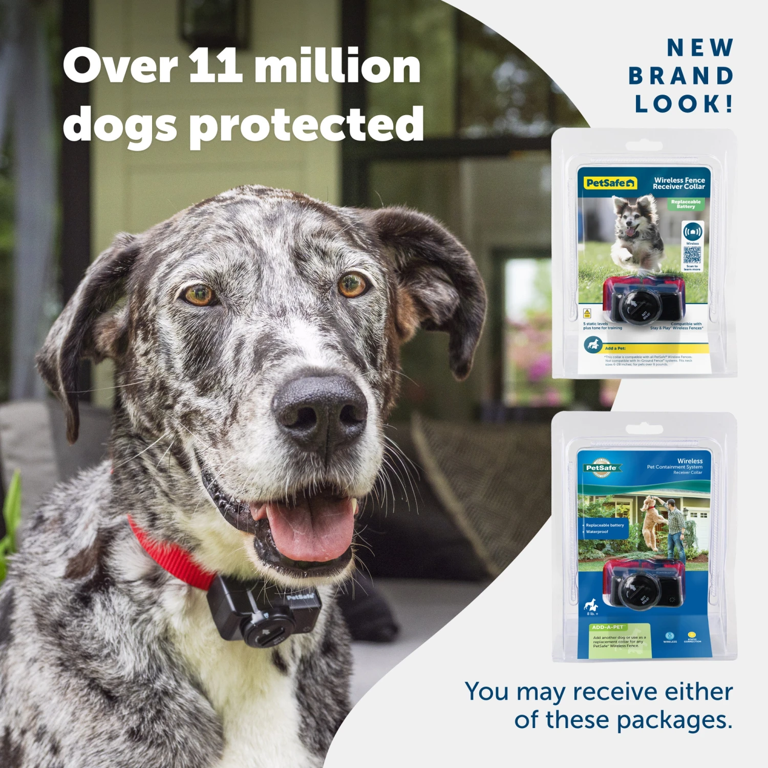 Wireless Pet Containment System Receiver Collar 8 Wireless Pet Containment System Receiver Collar - Image 6