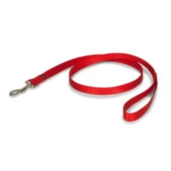 Nylon Leash -Best Pet Supplies oe0qaibwb2tzithnzhgv 28465e32 417b 41bc 9622 368a962327cb
