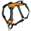 Walk-Along™ Outdoor Harness -Best Pet Supplies ols1vec0fexed86tkhjh c7563228 f4d7 4200 97bd 5ab7b113f68b