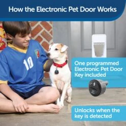 Electronic Pet Door -Best Pet Supplies oykakdjt2hmz55ld4yxy da0111b7 a4d0 40eb 8e5c 116c2885b581