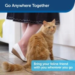 Disposable Litter Box With Litter 12 Disposable Litter Box With Litter -Best Pet Supplies pehzk1fwriyw1ohkmupy