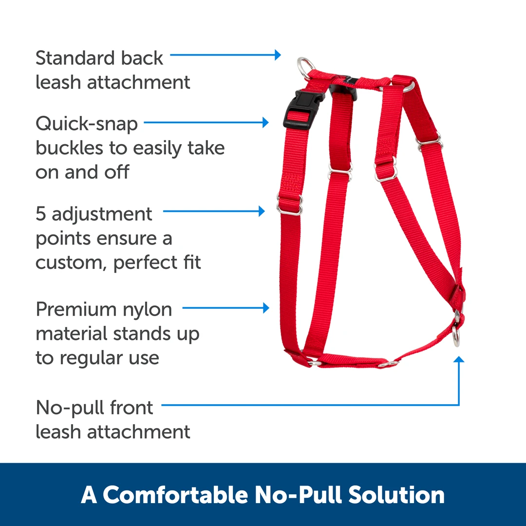 Sure-Fit Harness® - Large 7 Sure-Fit Harness® - Large - Image 5