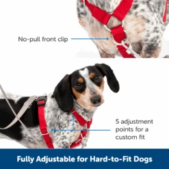 Sure-Fit Harness® - Large 16 Sure-Fit Harness® - Large -Best Pet Supplies ps amz atf surefit14