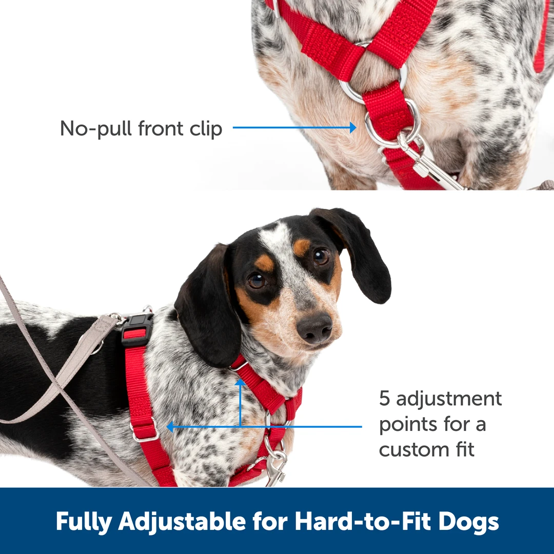 Sure-Fit Harness® - Large 8 Sure-Fit Harness® - Large - Image 6