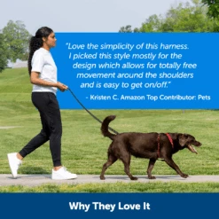 Sure-Fit Harness® - Large 17 Sure-Fit Harness® - Large -Best Pet Supplies ps amz atf surefit15