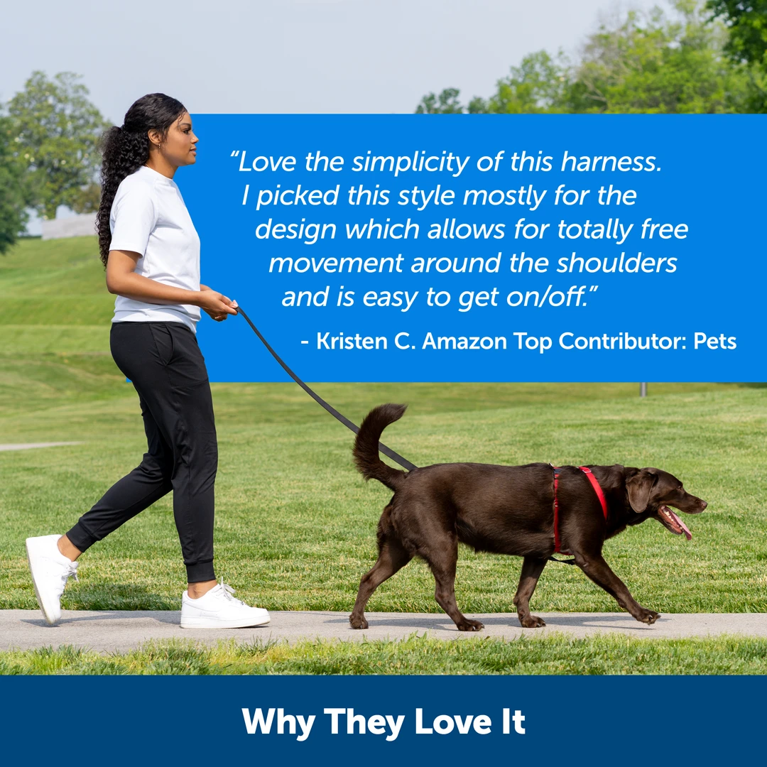 Sure-Fit Harness® - Large 9 Sure-Fit Harness® - Large - Image 7