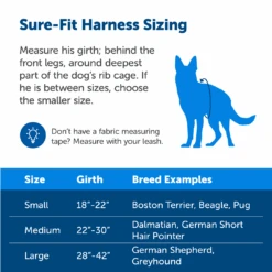 Sure-Fit Harness® - Large 19 Sure-Fit Harness® - Large -Best Pet Supplies ps amz atf surefit sizing l 1080x1080 2167b92c 3371 448b b4cd 7968c180668c