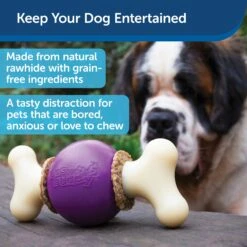 Busy Buddy® Bouncy Bone™ -Best Pet Supplies pt2aaznvzopopnac4fw2 6e73626a f759 4052 9484 261f14962ea8