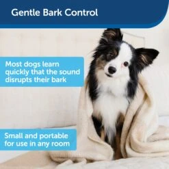 Indoor Bark Control, 1-Pack 10 Indoor Bark Control, 1-Pack -Best Pet Supplies q2icma5ctlgiorpursmg 388ea497 3cf0 42a2 8be8 461130bdd25c