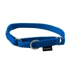 Martingale Collar -Best Pet Supplies qilxyotiokvyy2tlv1oa 508e86ea 9873 40b9 bf53 db7ce0099c89