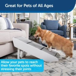 CozyUp™ Steps & Ramp Combo -Best Pet Supplies qkwmoe2bropoxcuhxuiq 912e8ea3 19de 408e 95ce 869b076c82df