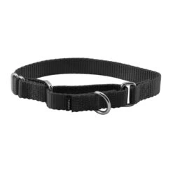 Martingale Collar -Best Pet Supplies qmccc9wkvbu6dcnw1qg5 db5363f3 e59c 462d b48c f235c228454e