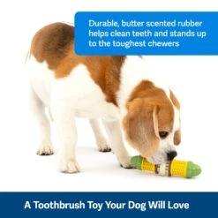 Busy Buddy® Cravin’ Corncob 10 Busy Buddy® Cravin’ Corncob -Best Pet Supplies qofd3sdvprn5itopfaz9 4e56579b 8685 495e a7db b86a975d15c7