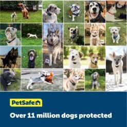 Wireless Pet Containment System™ Extra Transmitter -Best Pet Supplies qpcfaipr2m4st3azfenm da22d2e3 e295 404a ac77 c9f1e30c69ec