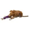 Busy Buddy® Chuckle™ -Best Pet Supplies qwnneptv6170sa2rf0nn 42473627 92c7 4468 9ea5 801c895765f9