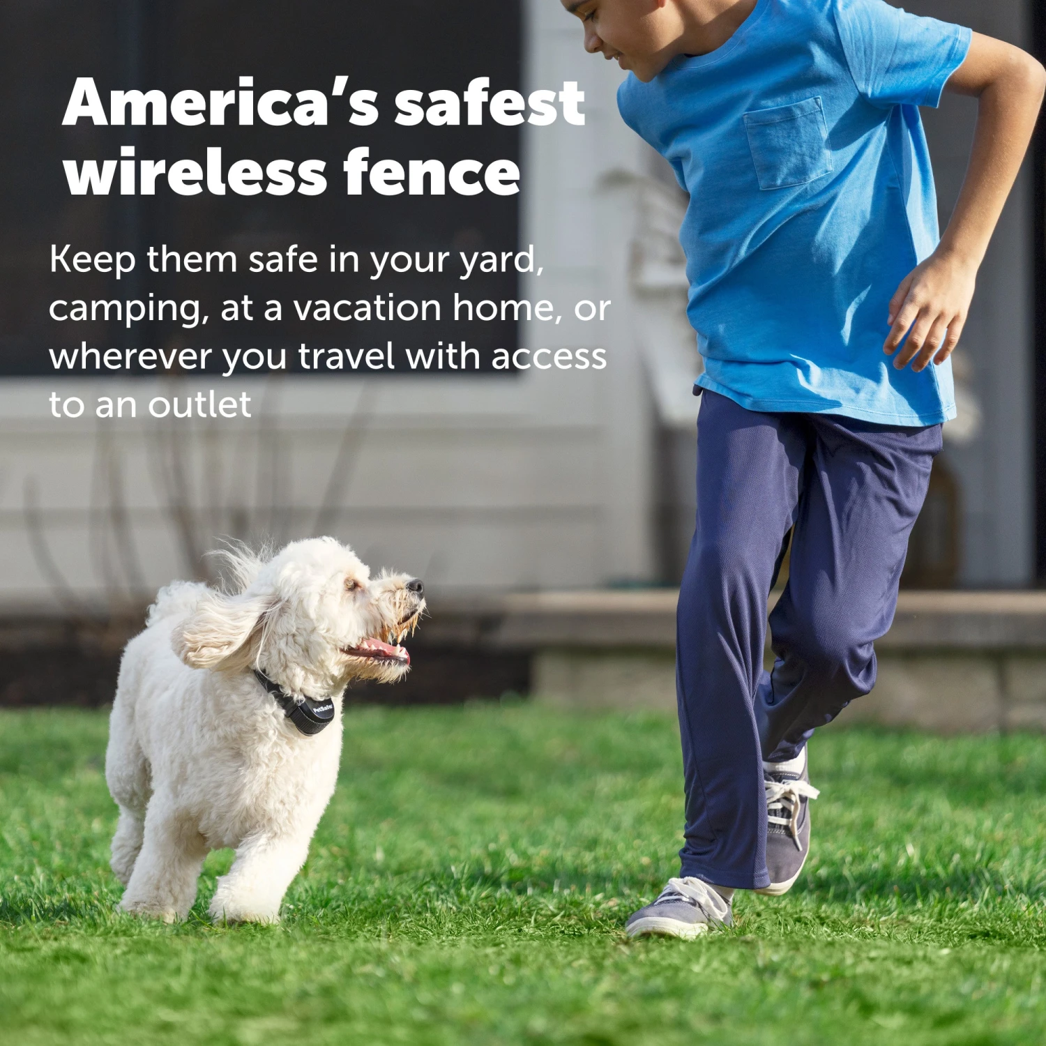 Stay & Play® Wireless Fence With Replaceable Battery Collar 7 Stay & Play® Wireless Fence With Replaceable Battery Collar - Image 5