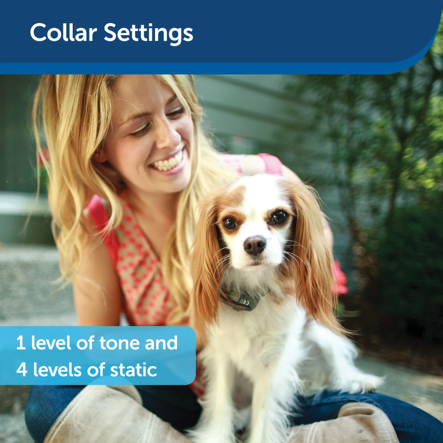 Deluxe Little Dog In-Ground Fence™ Receiver Collar 6 Deluxe Little Dog In-Ground Fence™ Receiver Collar - Image 4