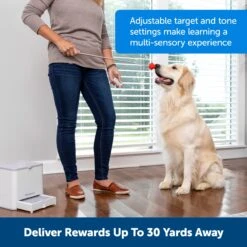 Teach & Treat Remote Reward Trainer -Best Pet Supplies rdurqm0xdhp9pkfsazen 86f538b6 1803 4510 bd73 6bbaa812c80a