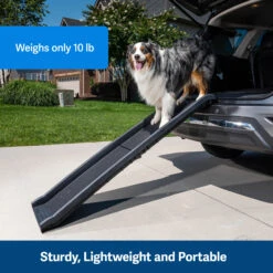 Happy Ride® Folding Dog Ramp -Best Pet Supplies rdxdcp4ctmfbzbech6aa 371e279d 4343 484f a69a e7648046764b