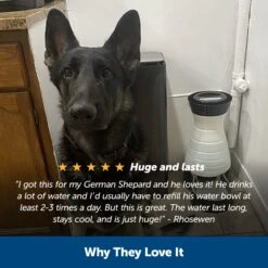 Healthy Pet Water Station™ 15 Healthy Pet Water Station™ -Best Pet Supplies rilb2h5mutprkauqoiz6 e1ee793d b303 4c06 9081 18dbbe360b18