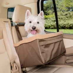 Happy Ride® Booster Seat 13 Happy Ride® Booster Seat -Best Pet Supplies rs5iegncvputwzcvm5s9 36071029 79f6 49f5 9a1d dd9ba4dc5dab