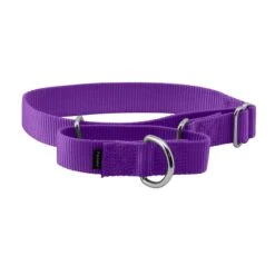 Martingale Collar -Best Pet Supplies ryp8gukqebo04ruqhb7p 520a9dda 69b4 45e9 b9ef f30405ca1906