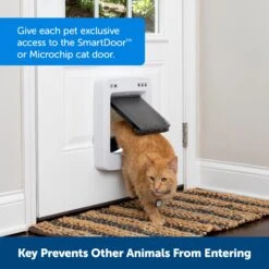 SmartDoor™ Connected Pet Door Key -Best Pet Supplies s1mweasnrpqcbx1zfufw 4b8b2718 191c 4c36 8aa2 46205875b6d3