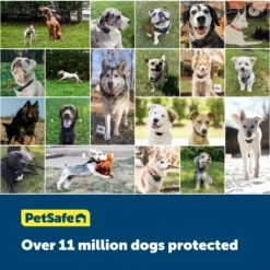 16 Gauge In-Ground Fence Boundary Wire, 500 Ft -Best Pet Supplies so8ub7ylhnamolmlvp7y ea1220e9 5a3a 45c8 b105 cde65266294b