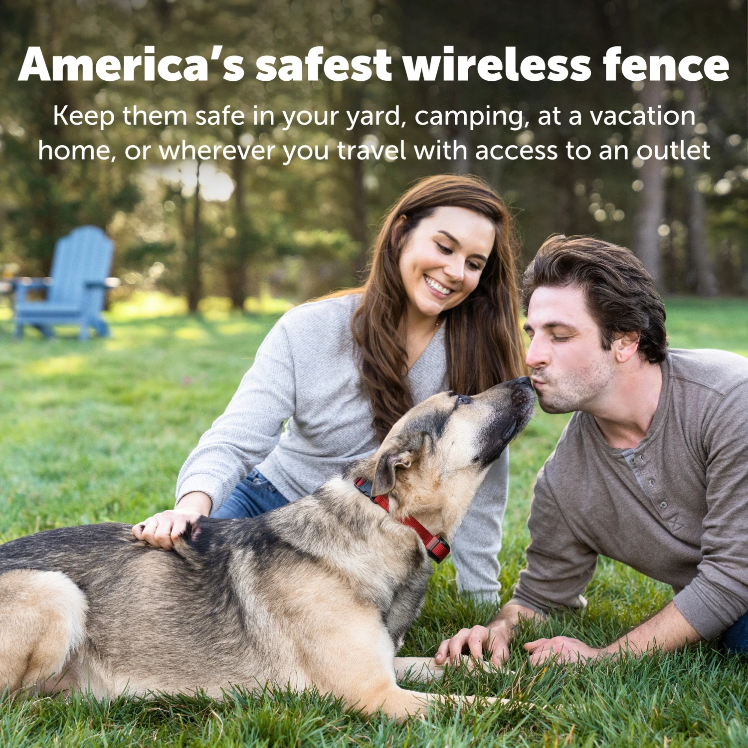 Stay & Play® Wireless Fence For Stubborn Dogs 6 Stay & Play® Wireless Fence For Stubborn Dogs - Image 5