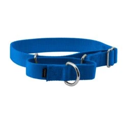 Martingale Collar -Best Pet Supplies t95bemdlmlizblvuzjai 620bcdb0 35a1 4076 9b5b 23124250e324