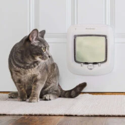 Microchip Cat Door