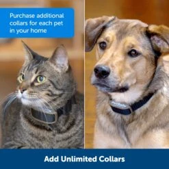 Pawz Away® Extra Receiver Collar 10 Pawz Away® Extra Receiver Collar -Best Pet Supplies tmdlkjg8yvlirir5zaxv 417835a5 955d 4e20 9e99 027d2223f6a5