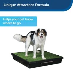 Skip To My Loo House Training Scent -Best Pet Supplies u3sscva9ohp2oummbjpo 035fdc93 f0b8 42cb a7ca 0bc95239eb70